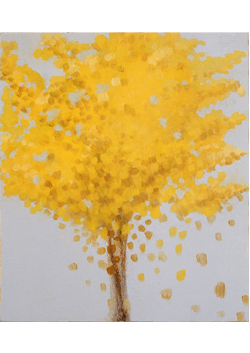 Lucas Reiner, Falls Village