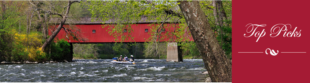 PoshpadsCT Top Picks